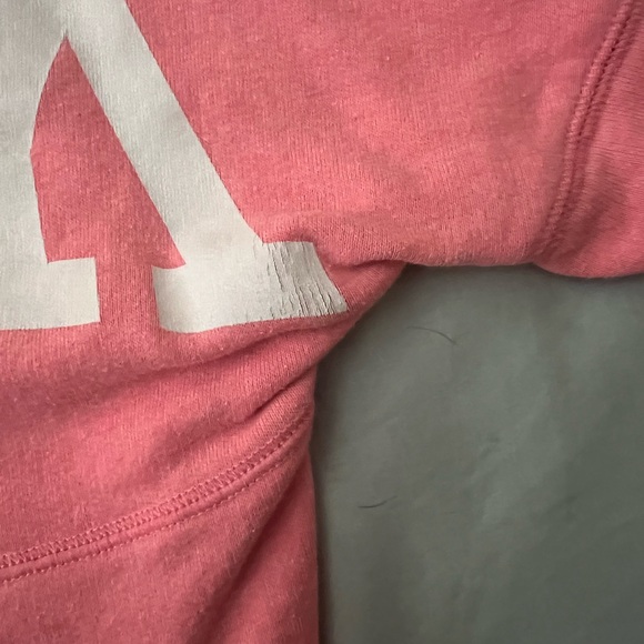 Vs PINK hooded sweater. - Picture 3 of 4